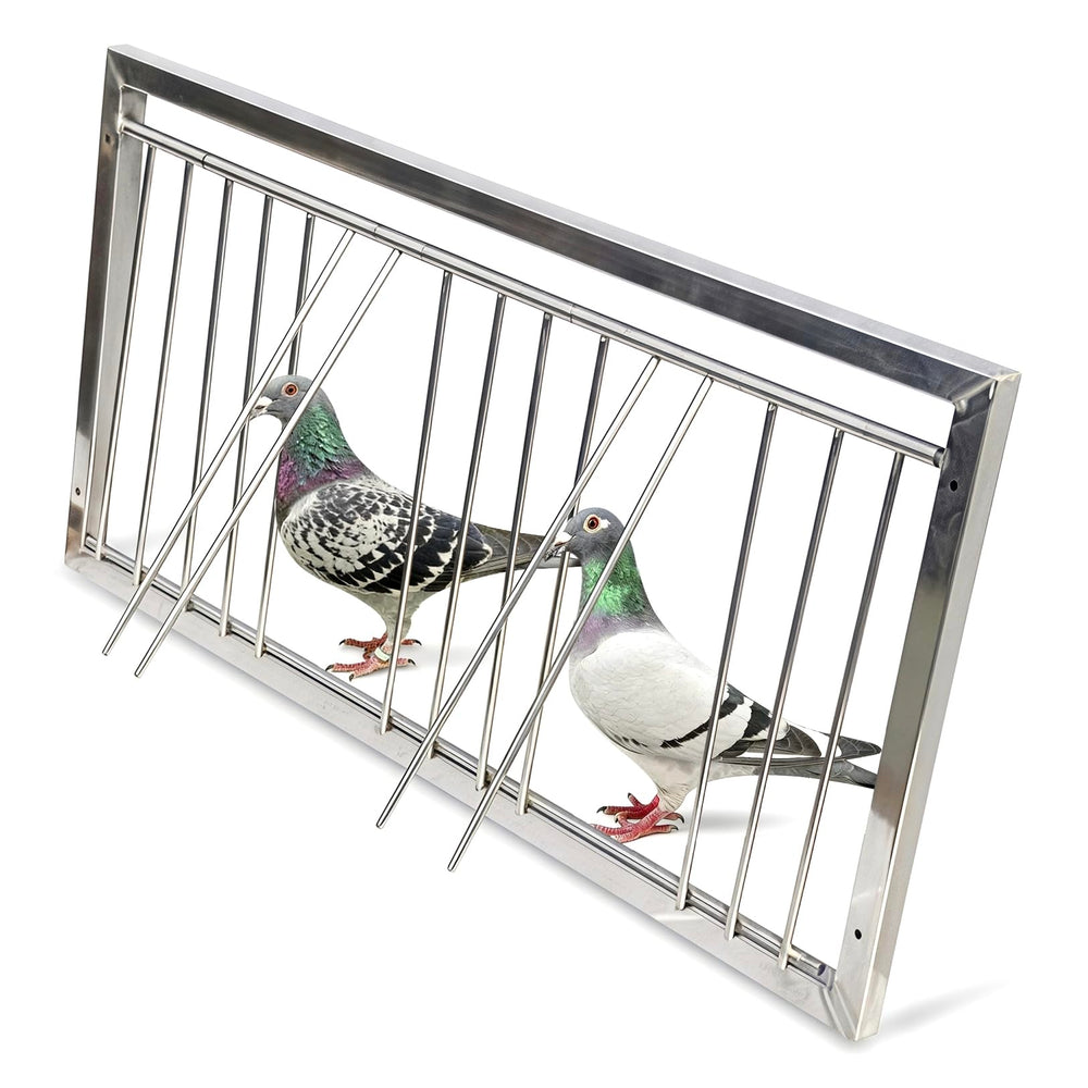 Porte-trappe Ziaroxina en inox304, entrée sécurisée pour pigeons.
