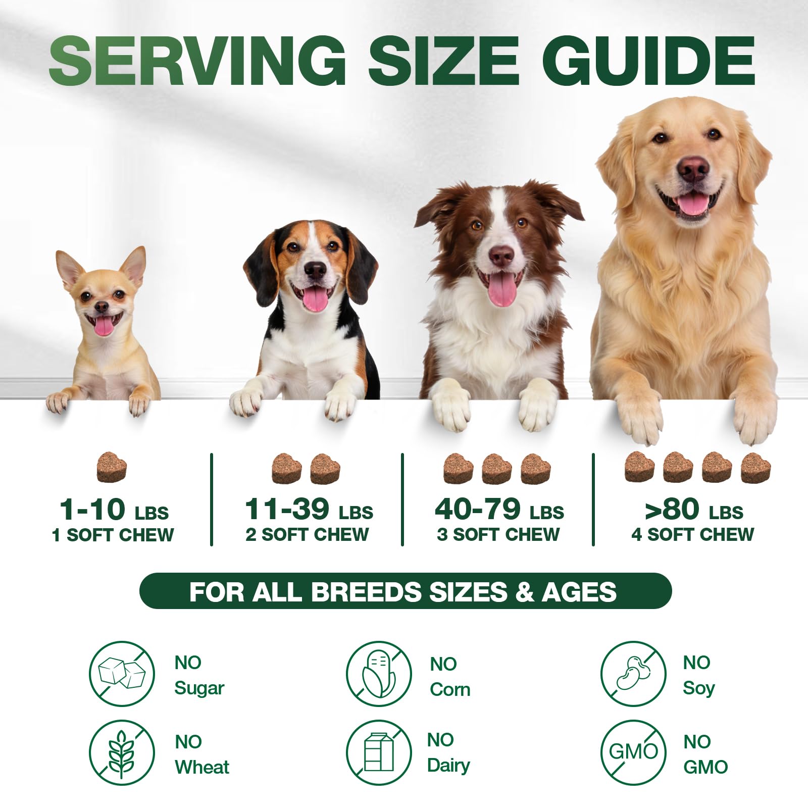 Chiens calmes au quotidien – friandises ZiehooGe favorisant le calme quotidien
