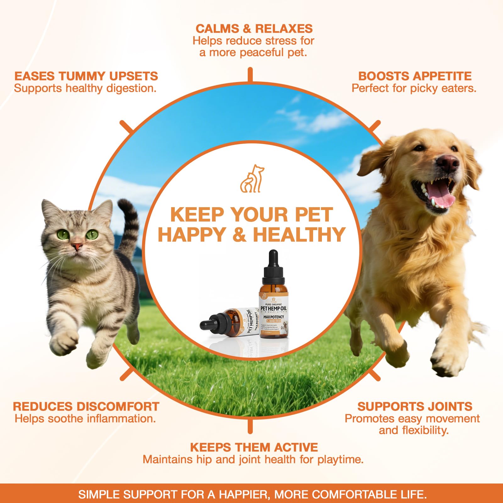 ZiehooGe huile de chanvre, ajout simple dans l’alimentation quotidienne.