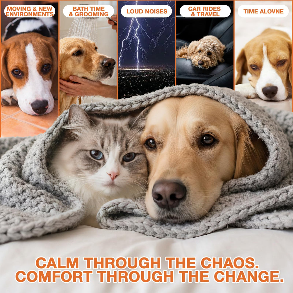 ZiehooGe huile de chanvre pour chiens et chats, relaxation douce après la promenade.