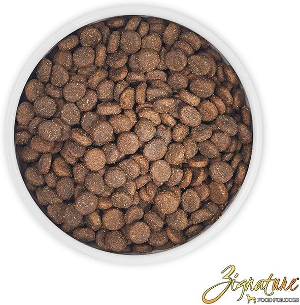 Ingrédients principaux : agneau de qualité pour Zignature Select Cuts Lamb Formula.