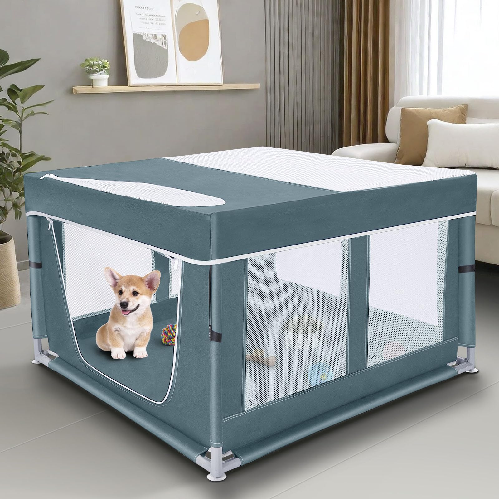 Zikopomi parc chien-chaton vue d'ensemble, espace spacieux et sûr