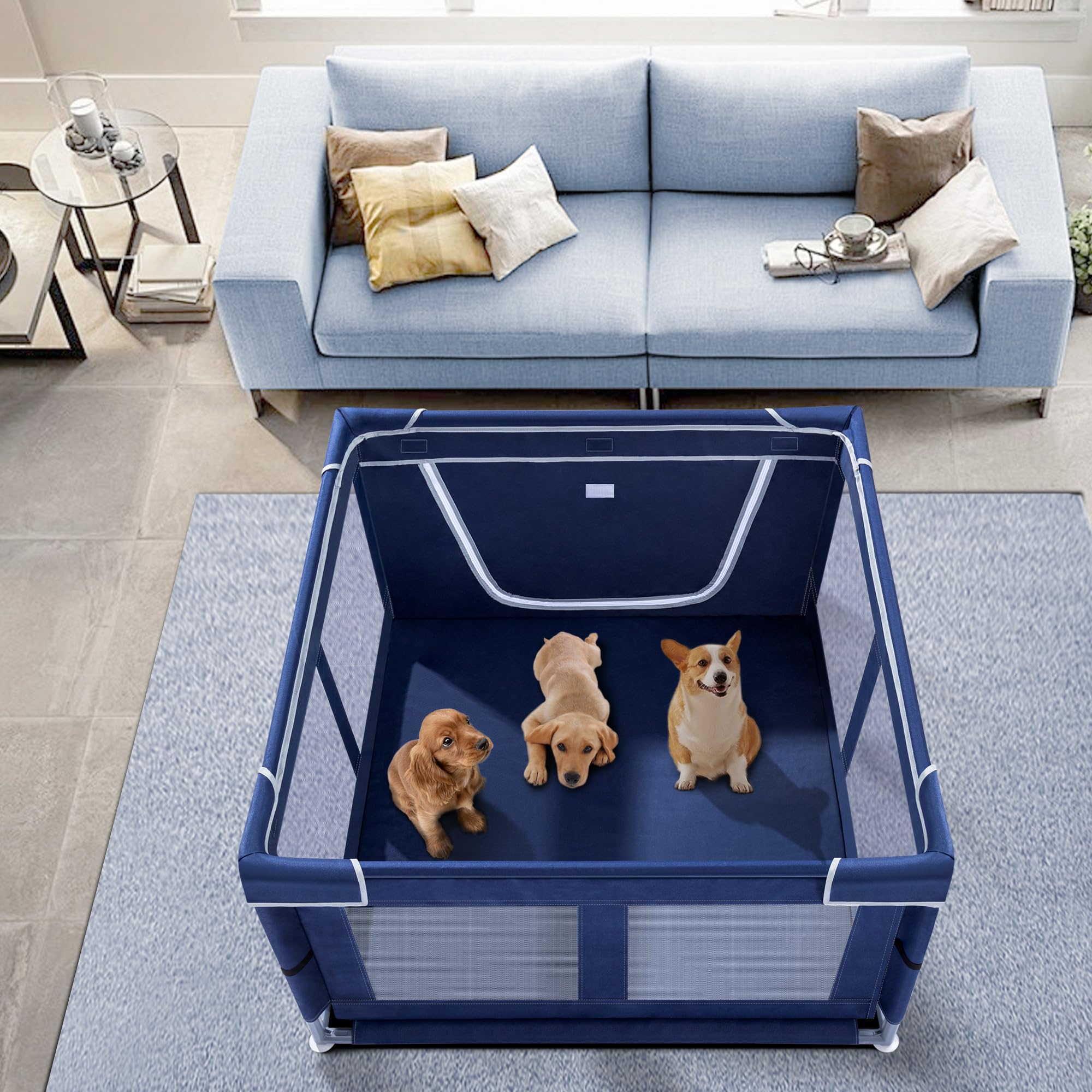 Espace généreux pour chiots et chatons avec l’enclos Zikopomi.