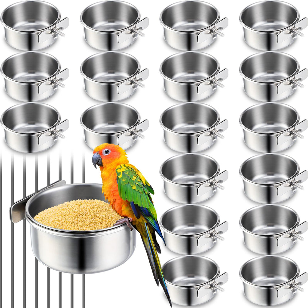 Bol d'alimentation Ziliny 10 oz pour perroquet, alimentation régulière simplifiée.