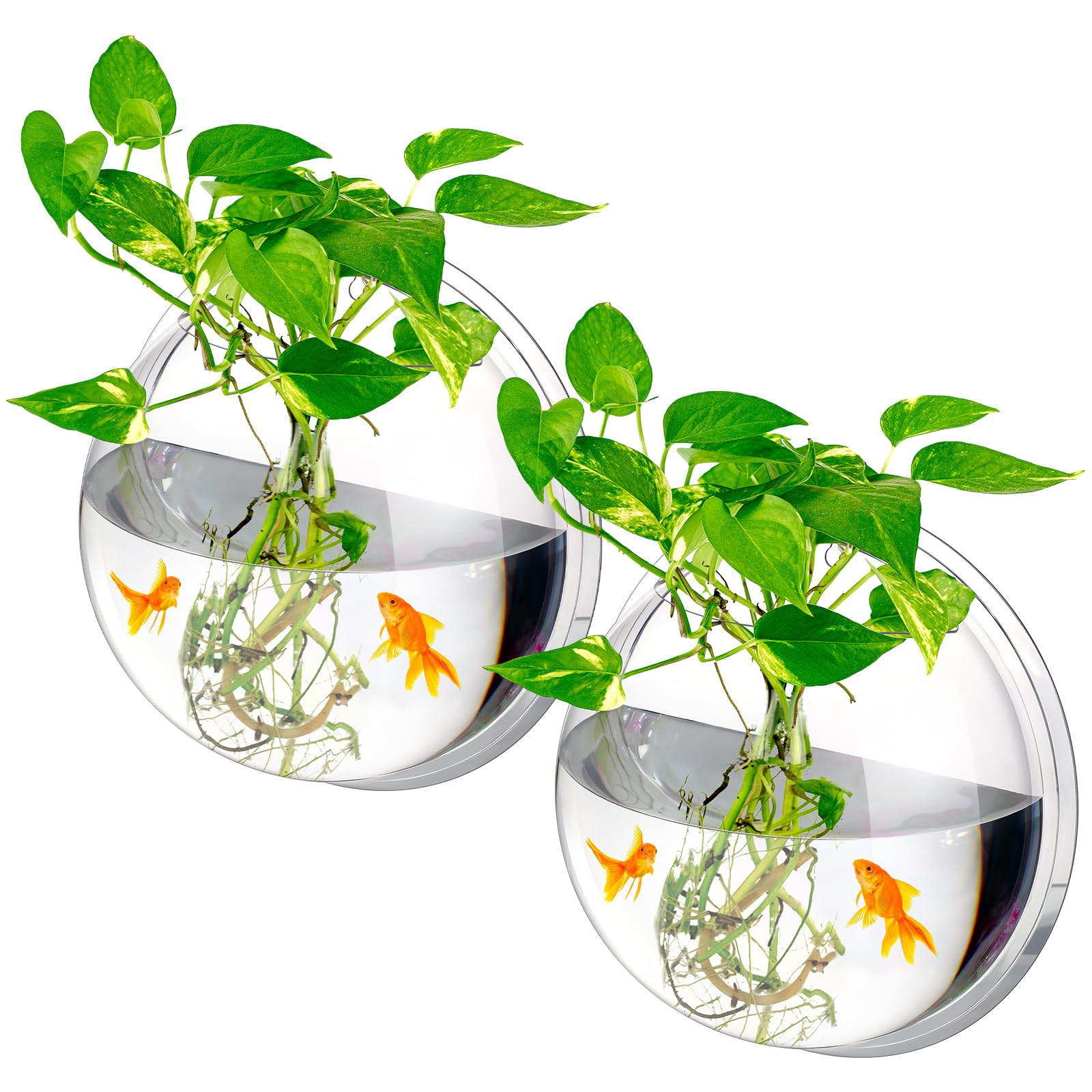 Ziliny bol mural aquarium 1 galon - vue avant, clair et élégant pour décor intérieur