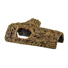 Zilla Bark Bends avec ouvertures le long du verre, vue claire des activités des reptiles
