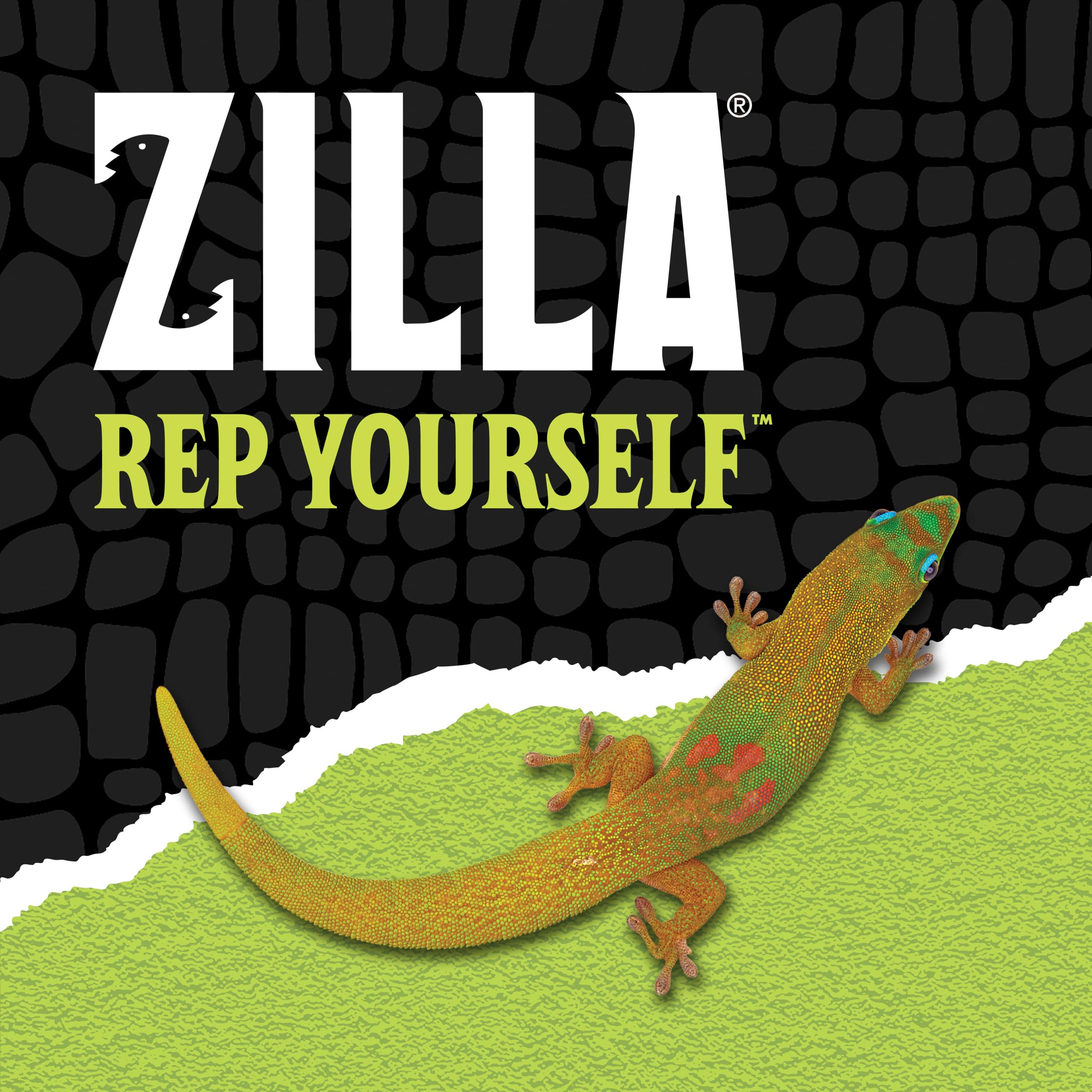 Idéal pour l'incubation des œufs et le repos des reptiles.