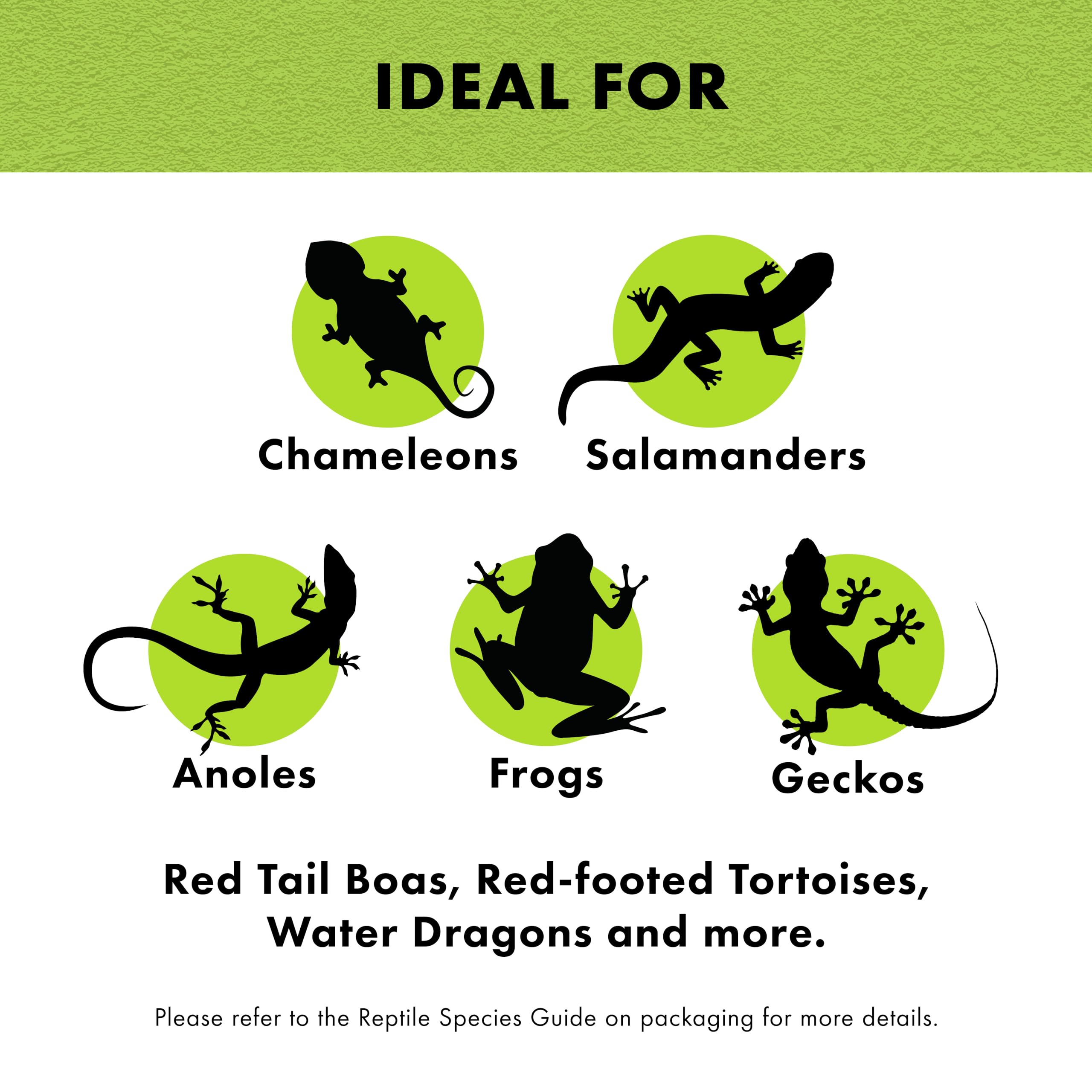 Texture douce de Zilla favourise le creusement et le confort de l'animal.