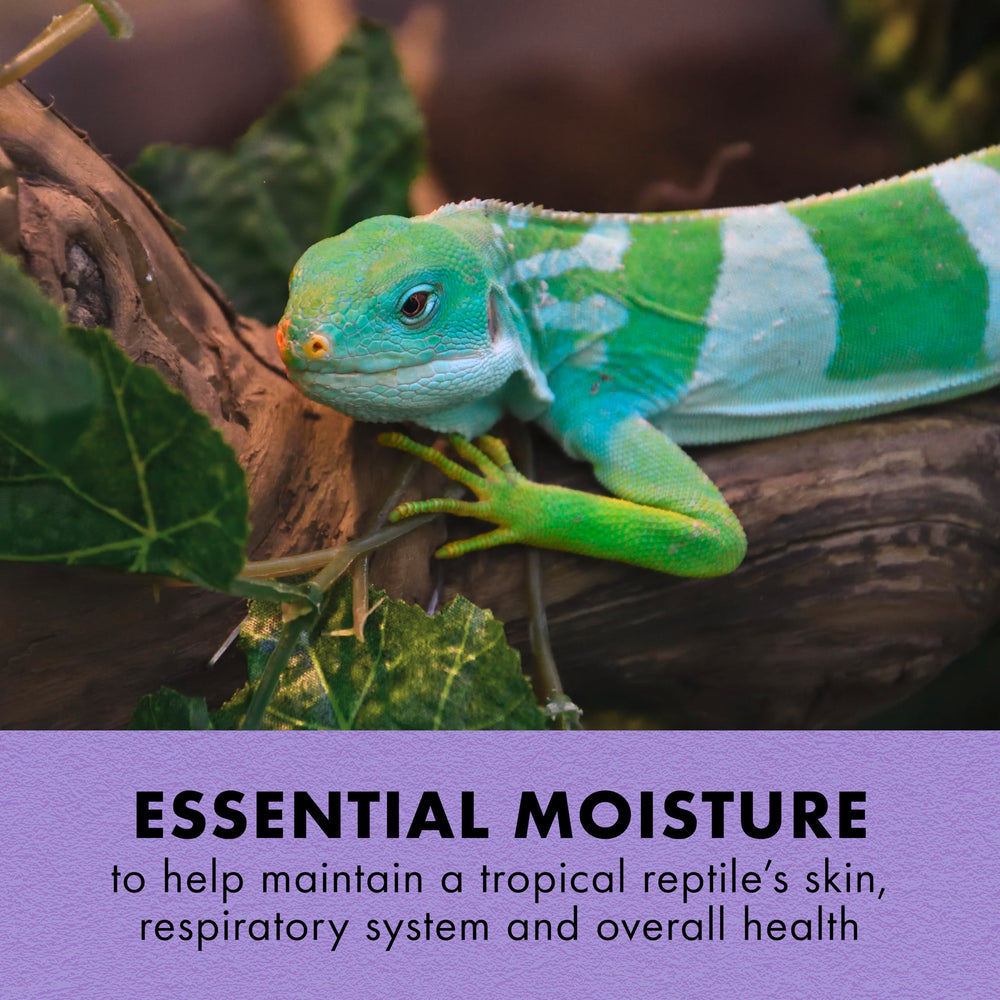 Zilla Tropical Mist – etiquette: identification rapide et application pratique.