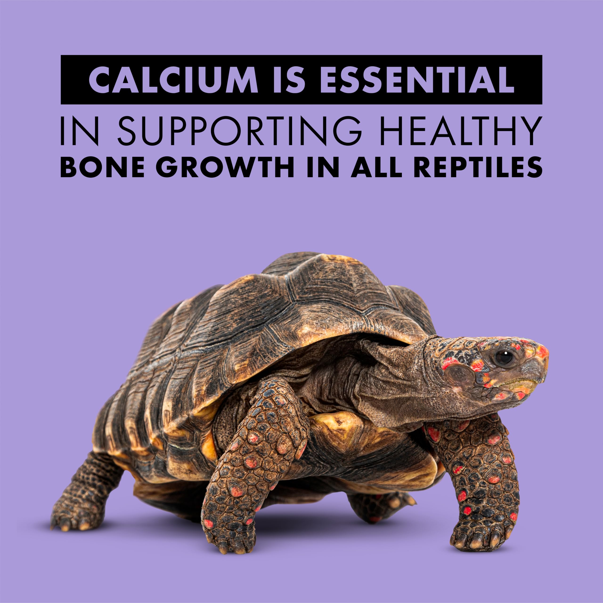 Application avant service en 15 secondes, Zilla Calcium Spray sur aliments des reptiles.