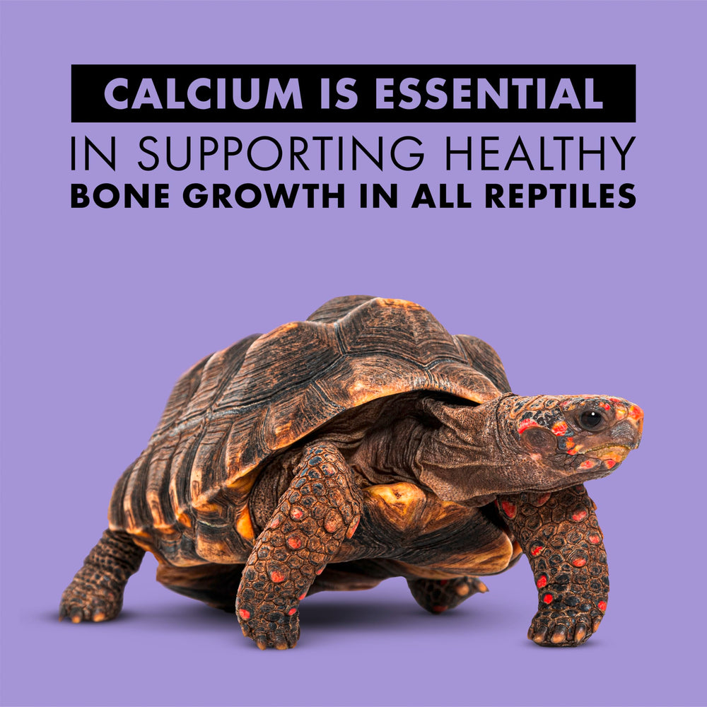 Application avant service en 15 secondes, Zilla Calcium Spray sur aliments des reptiles.