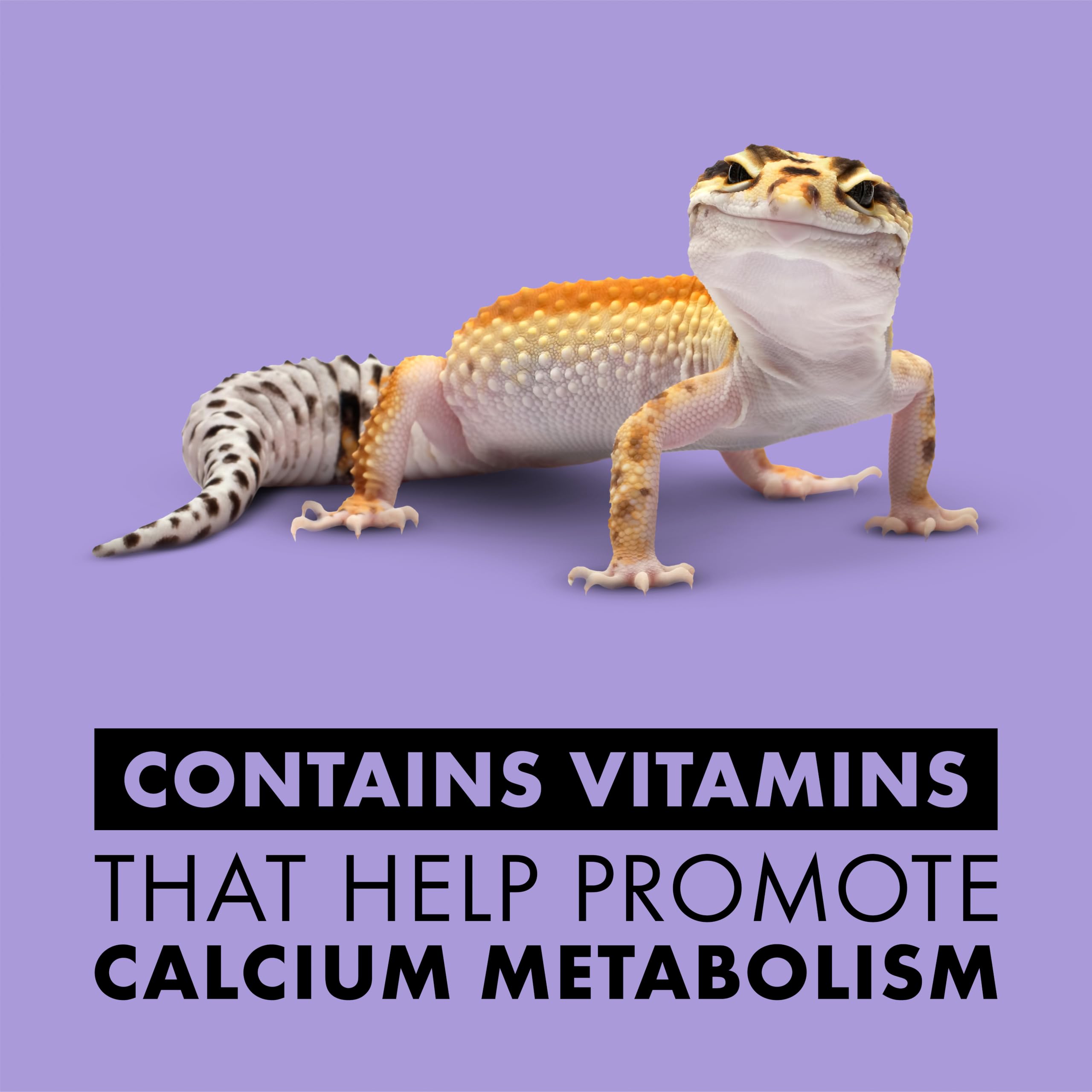 Zilla carotene pour reptiles, complément nutritionnel.