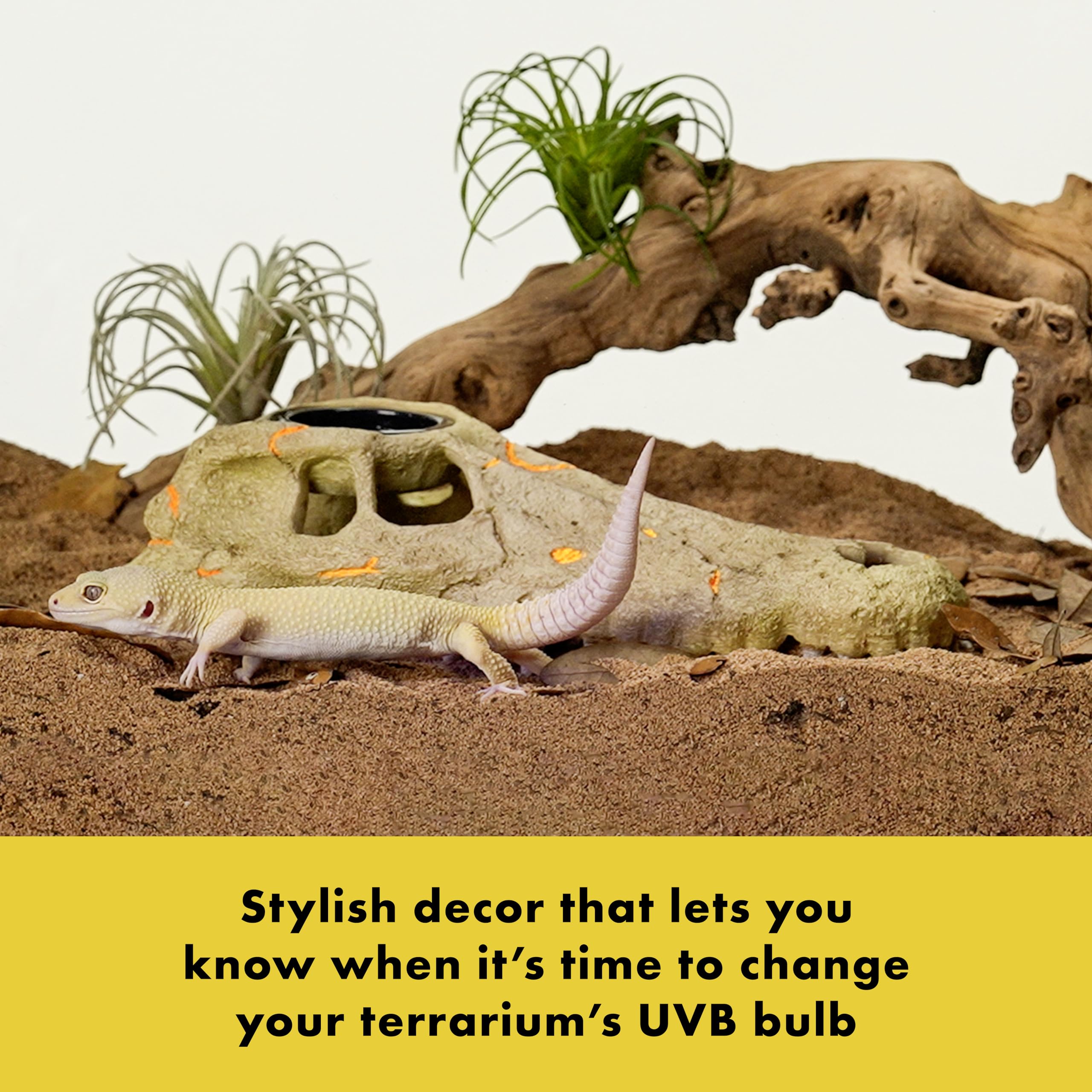 Zilla Indicateur UVB rapide : vérification en 30 secondes.