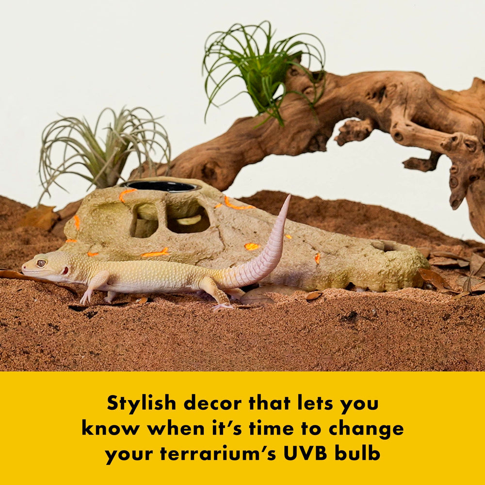 Zilla Indicateur UVB rapide : vérification en 30 secondes.