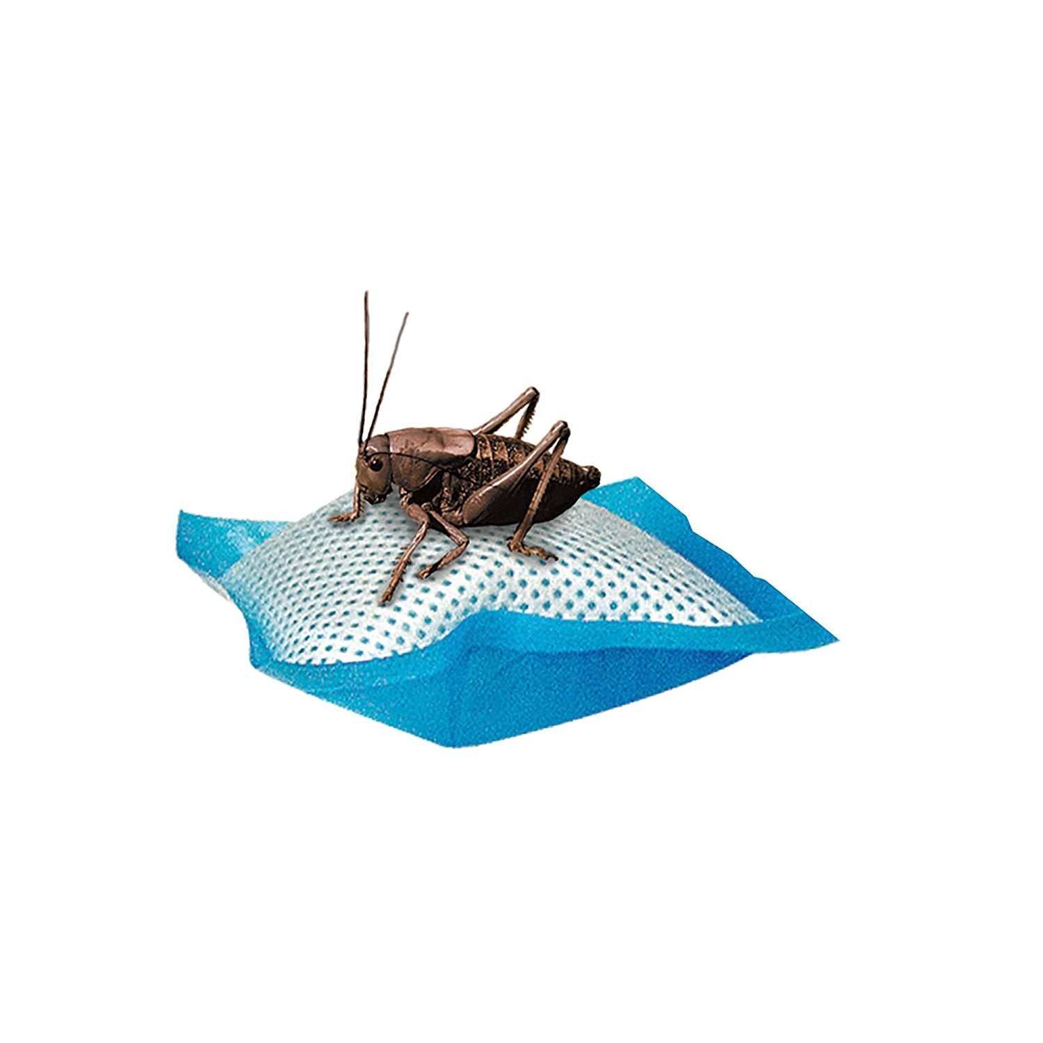 Oreiller d’eau Zilla dans le terrarium des reptiles, hydratation pratique.