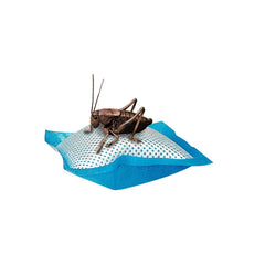 Oreiller d’eau Zilla dans le terrarium des reptiles, hydratation pratique.