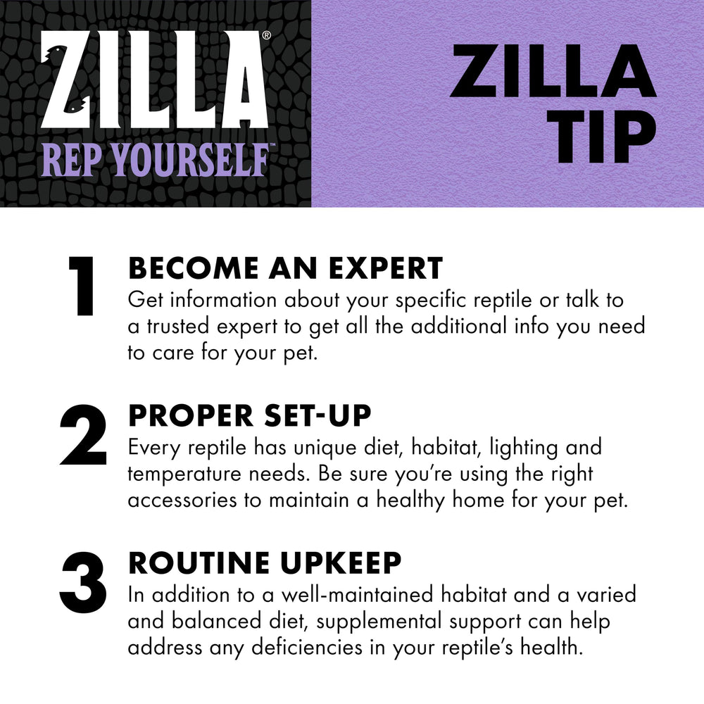 Zilla présentation usage quotidien pour reptiles.