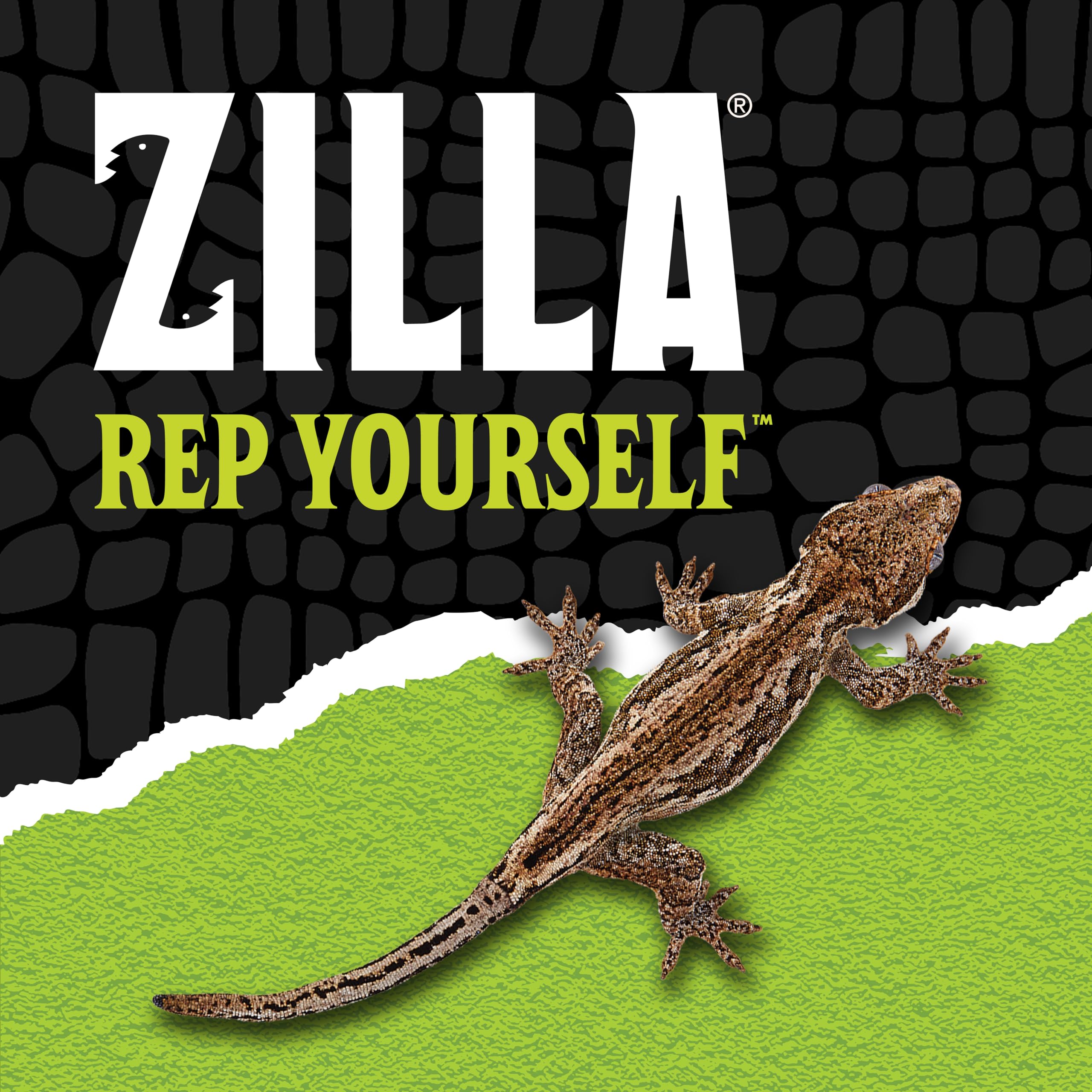 Base étanche du Zilla QuickBuild adaptée au substrat ou à l’eau.