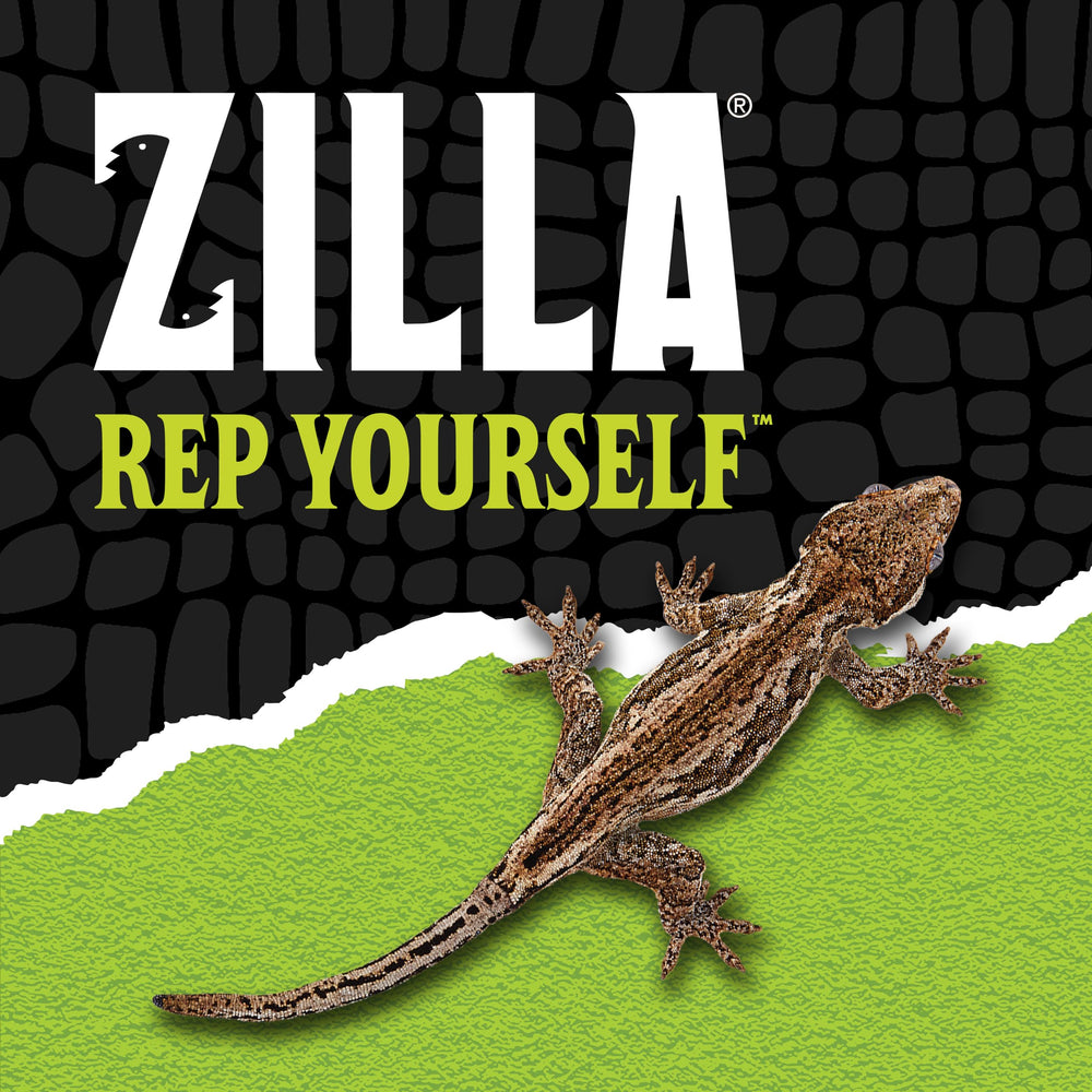Base étanche du Zilla QuickBuild adaptée au substrat ou à l’eau.