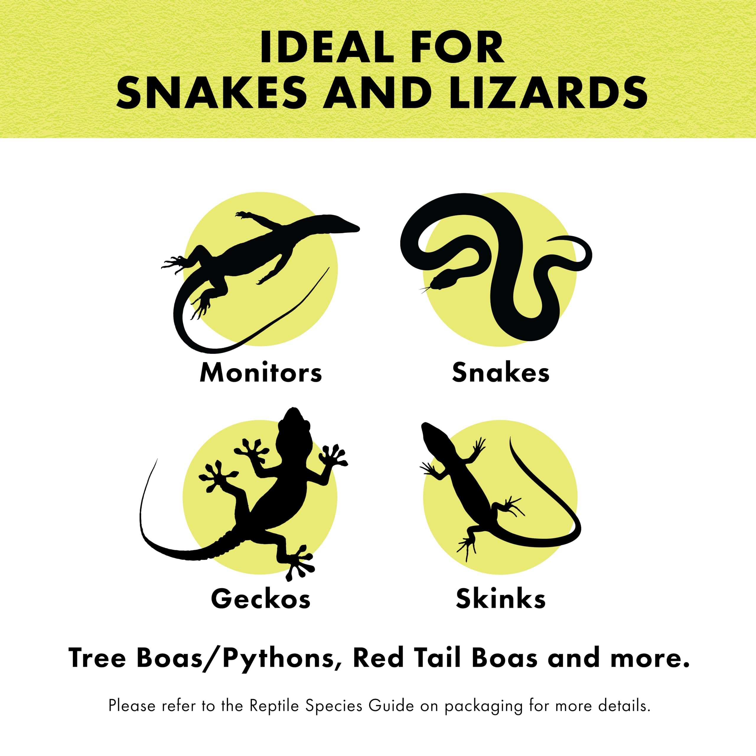 Zilla: idéal pour serpents, moniteurs, skinks et geckos, offre un habitat sain.
