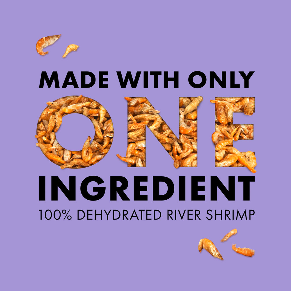 Zilla Reptile Munchies sac fermeture zippe pour conservation apres ouverture.