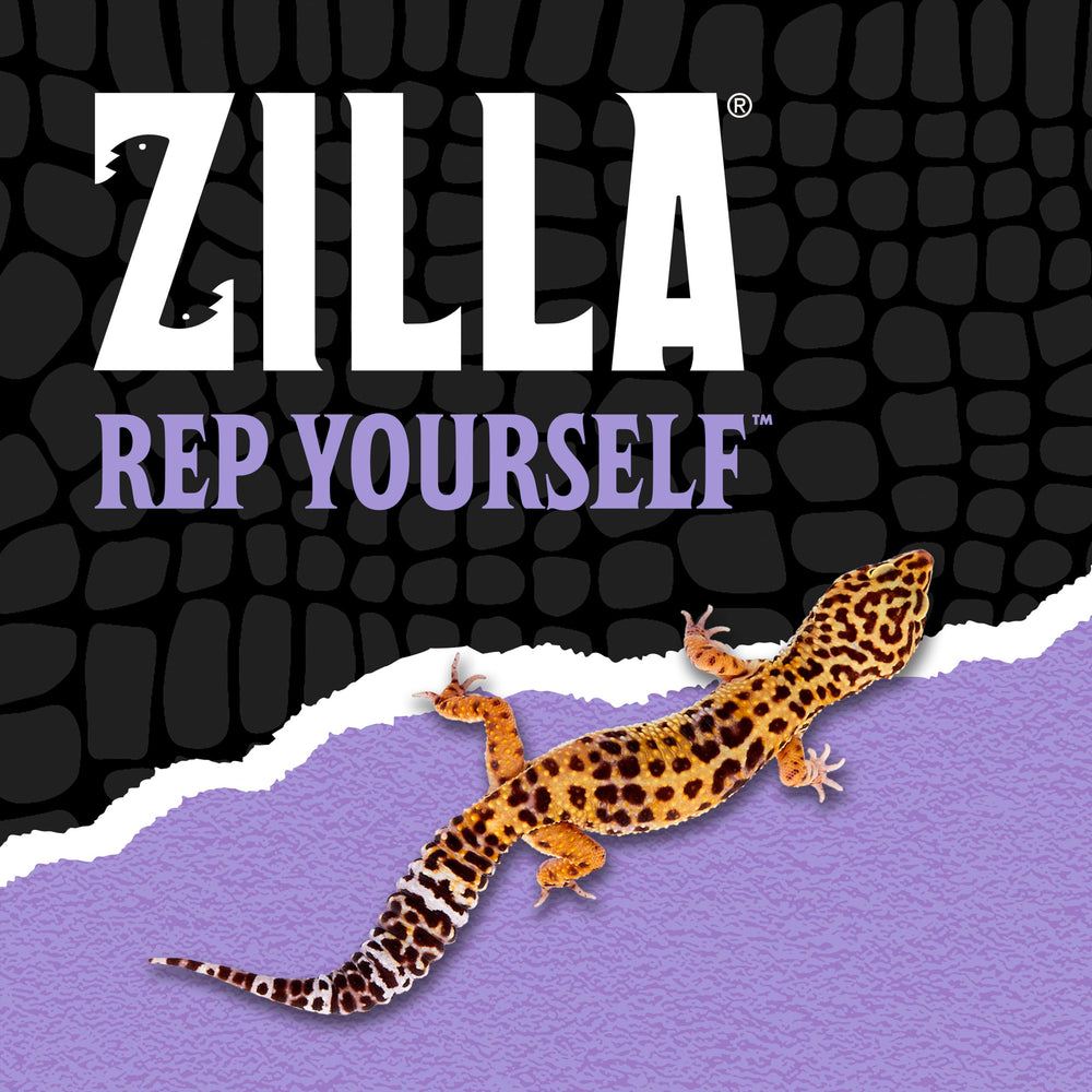 Zilla Reptile Munchies – sans réfrigération, pratique en déplacement