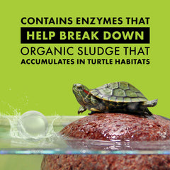 Zilla Turtle PURE bacteries-bienfaisantes: bactéries vivantes favorisent un environnement équilibré