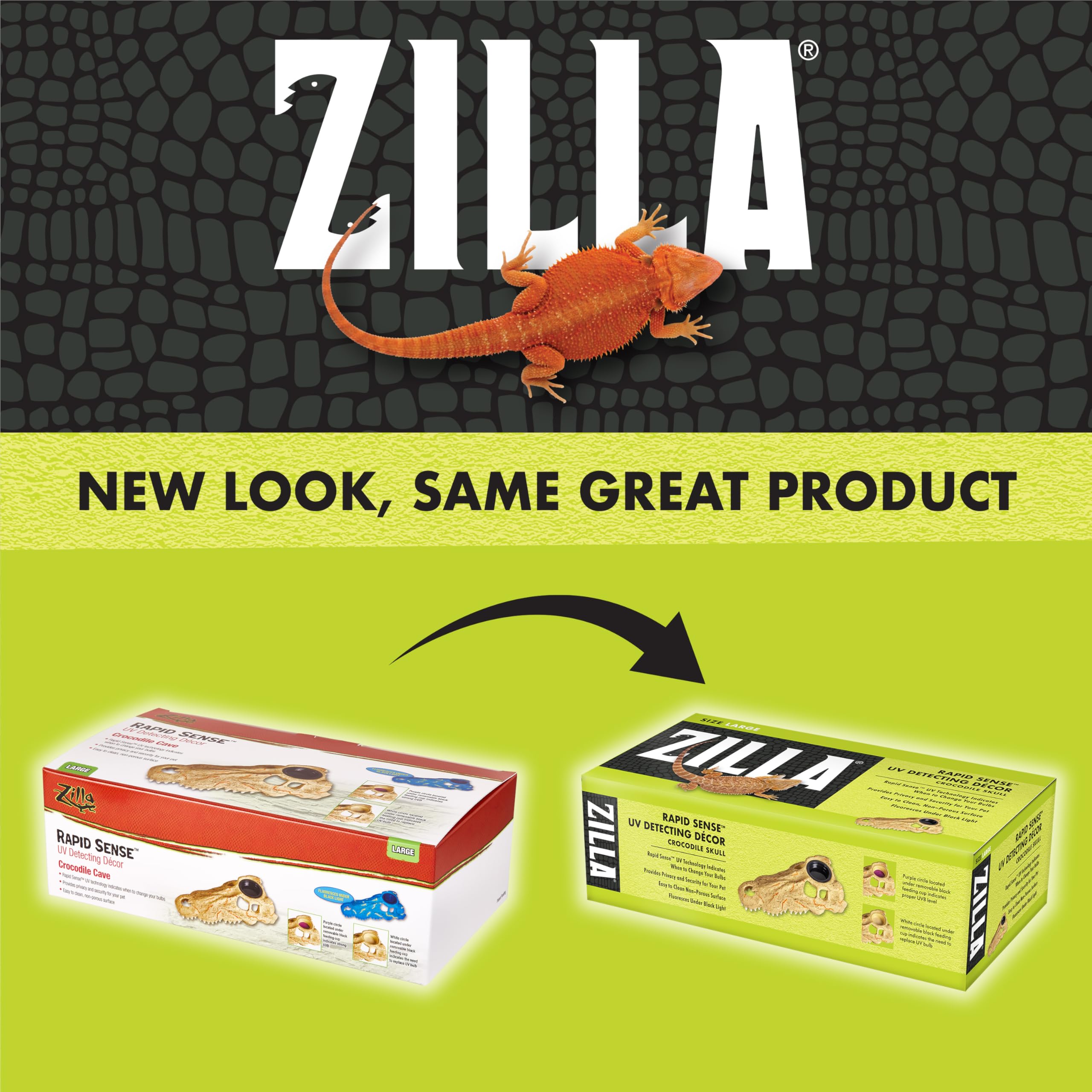 Zilla Variantes esthétiques : deux motifs distincts pour le terrarium.