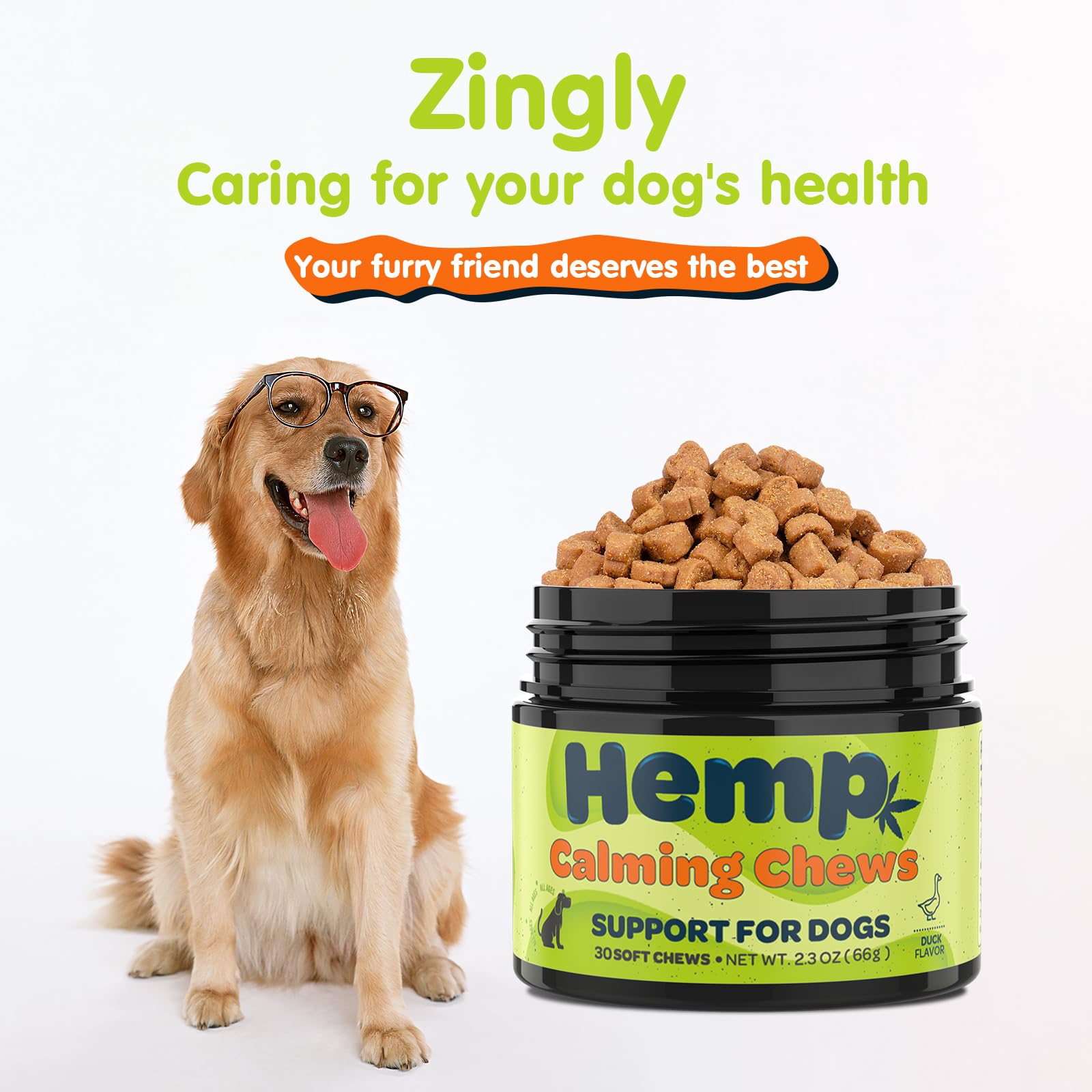 Zingly: dosage facile des friandises chien lors des trajets