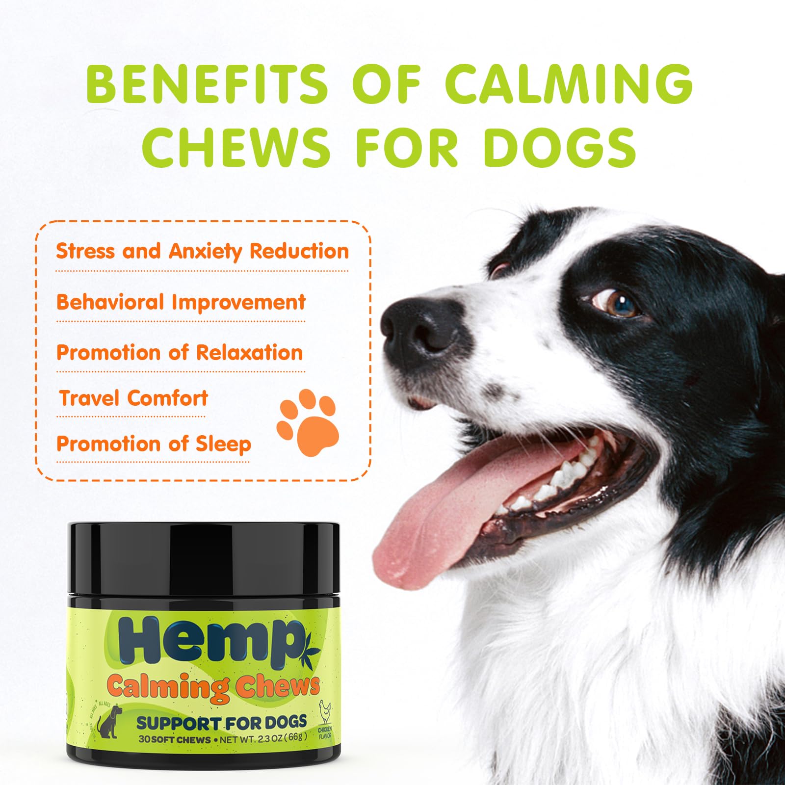 Gommes savoureuses Zingly pour chiens, administration facile.