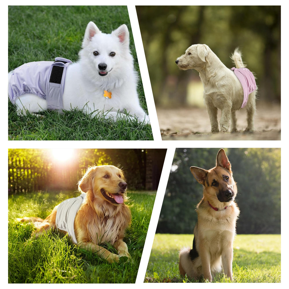 Absorbant interieur ZINGTERRA pour couches chien démontrant absorption efficace