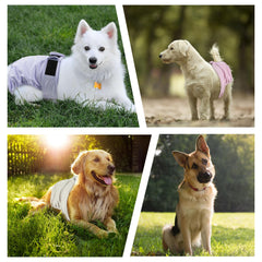 ZINGTERRA couches-chien-femelle-etanche-exterieur-pul: protection fiable.
