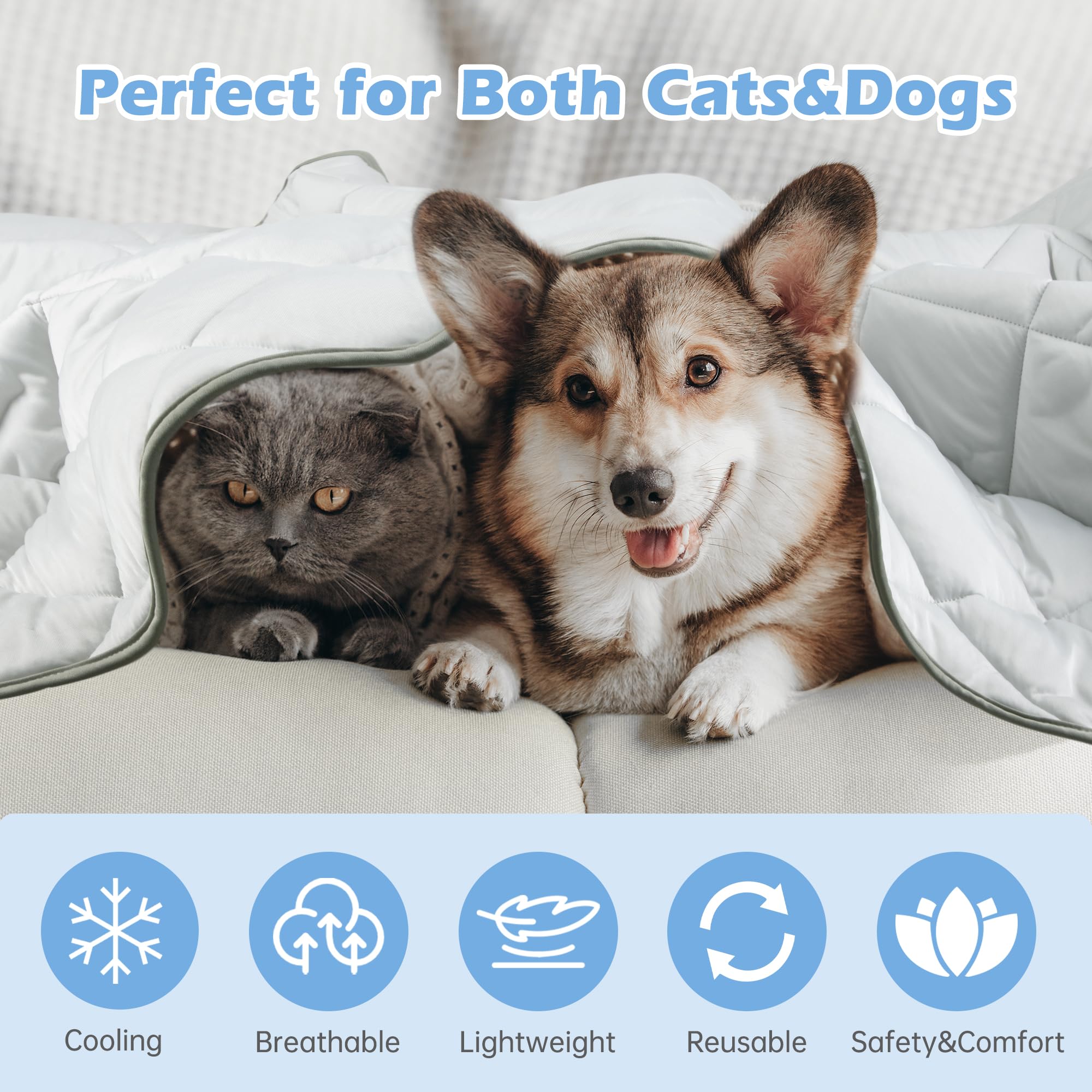 ZINGTERRA Natte Refroidissante Anti Griffures Chien Chat: protège meubles et offre du frais.