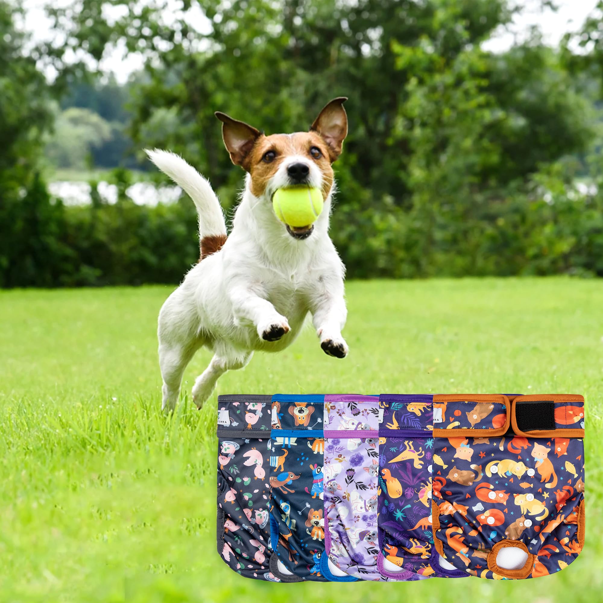 Pack cinq couches ZINGTERRA, usage quotidien et pratique pour les sorties.