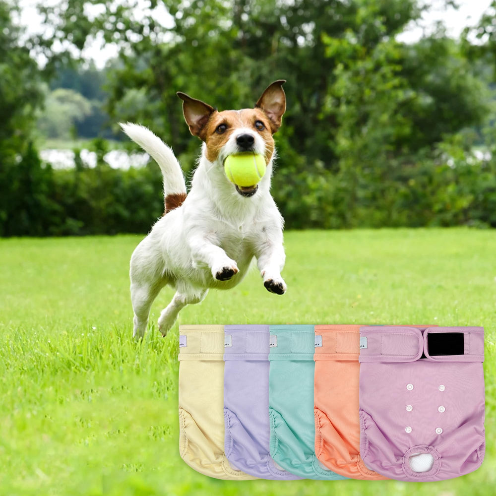 Couches ZINGTERRA chien PUL anti fuite, protection durable.