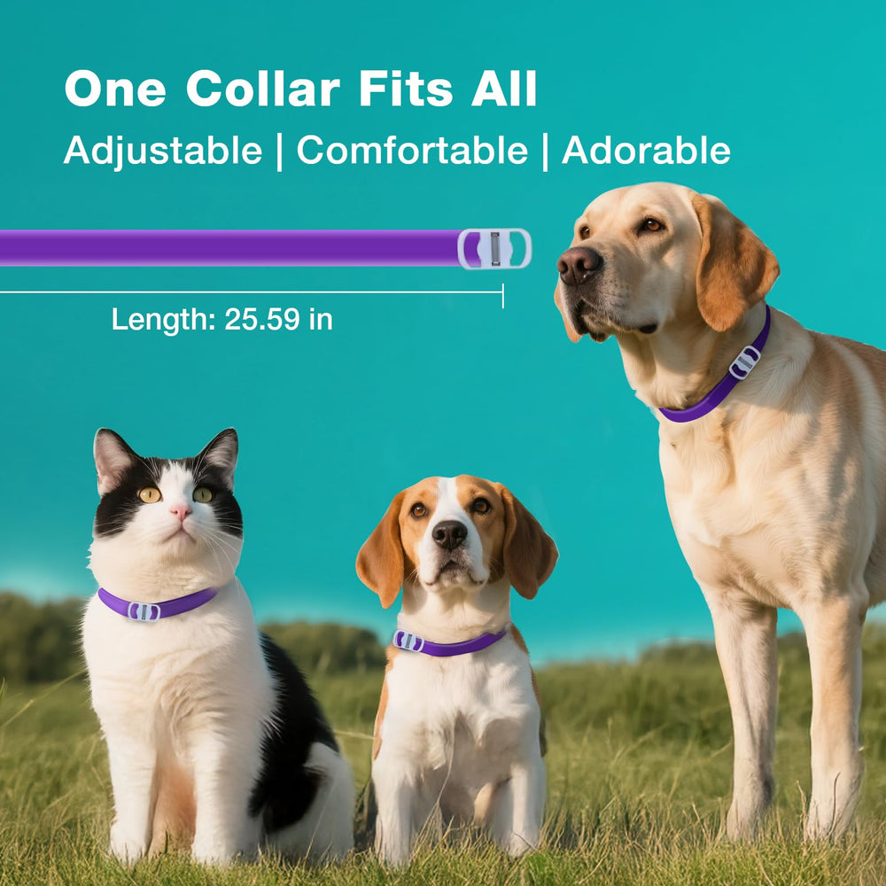 Collier ZingZap léger et confortable, ajustement facile pour tous les pets