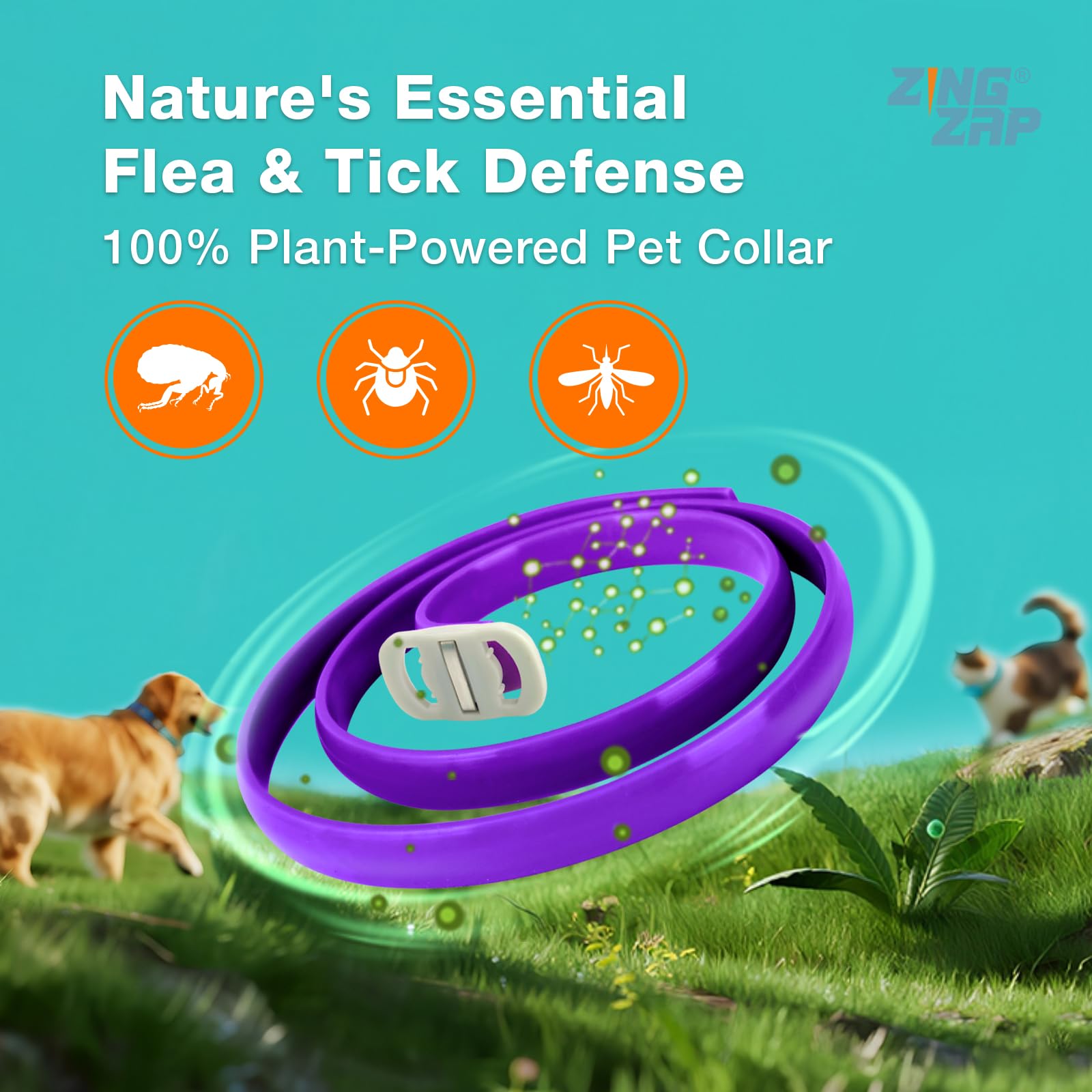 Collier ZingZap libération lente des actifs naturels pour une protection durable