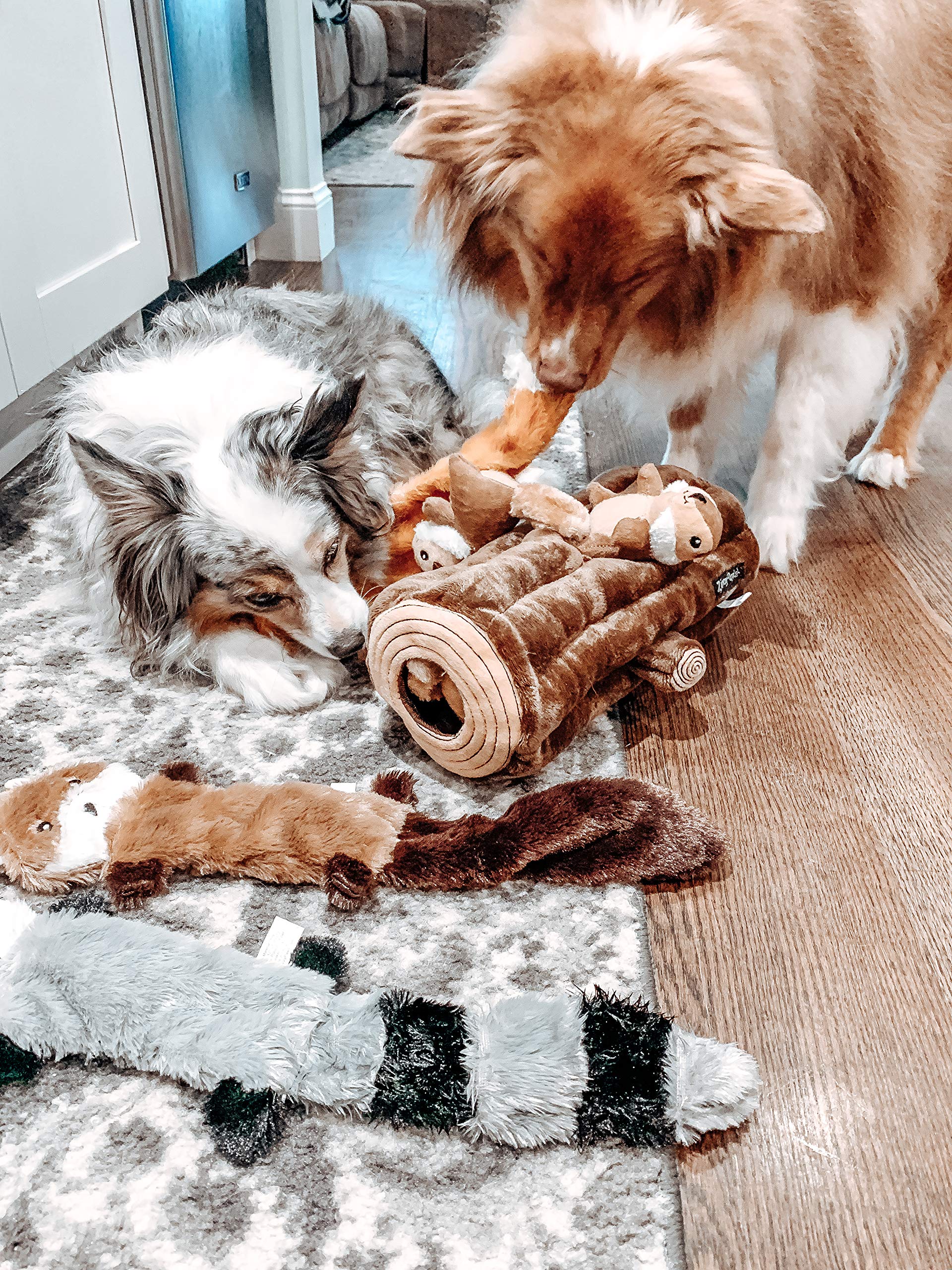 ZippyPaws Burrow : cachettes réutilisables pour varier les enquêtes sensorielles.