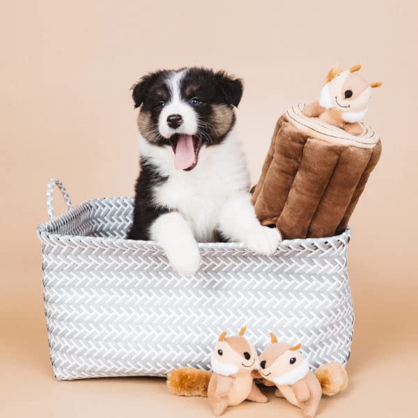 ZippyPaws Burrow : jouet remplissable pour des sessions de jeu prolongées.