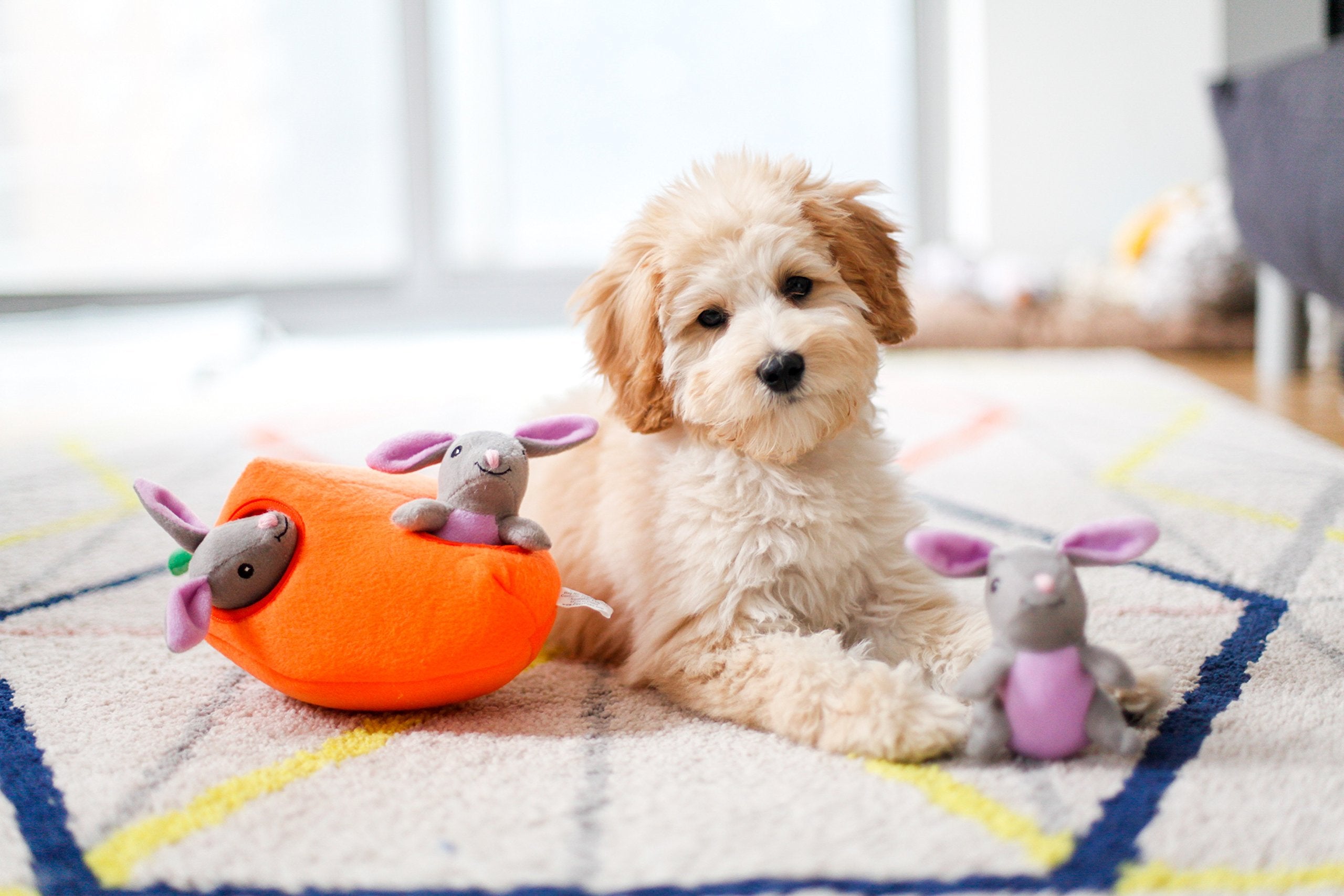 ZippyPaws Burrow peluche douce adaptée chiens petites et moyennes.