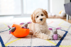 ZippyPaws Burrow peluche douce adaptée chiens petites et moyennes.
