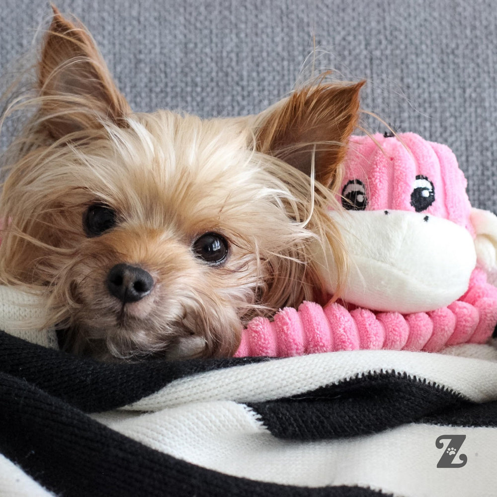 ZippyPaws Crinkle Monkey peluche sûre et câline, parfait pour mordillage léger.