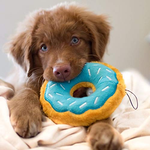 ZippyPaws Donutz léger et durable pour lancer et rapporter.