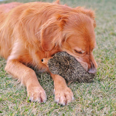 Jouet interactif hérisson ZippyPaws pour chiens aimant tirer et câliner.