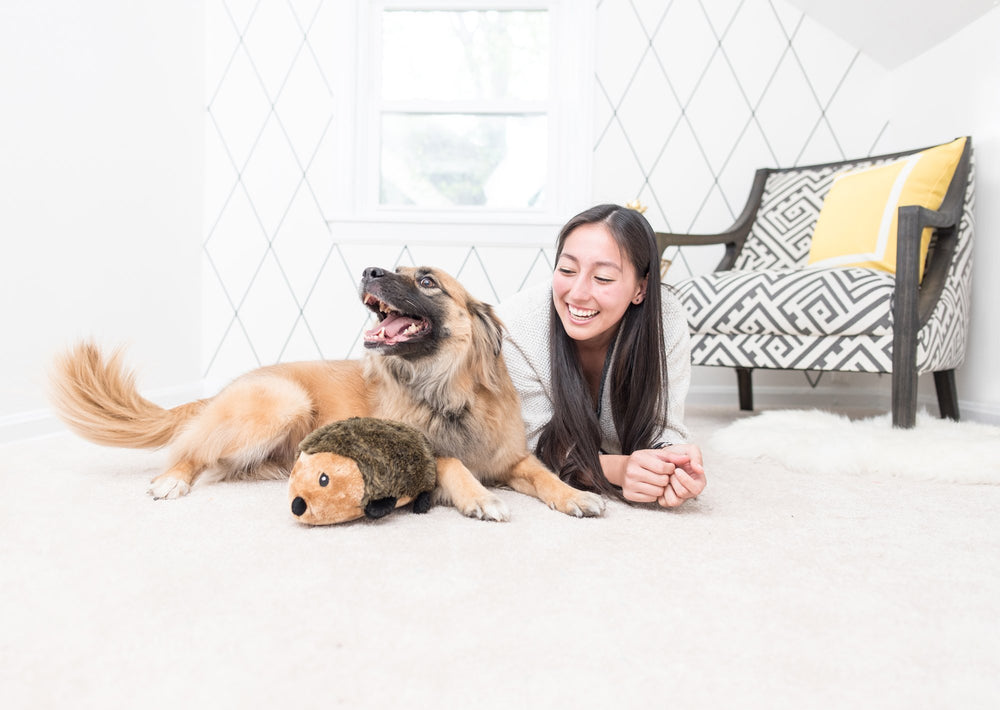 Hérisson pelucheux ZippyPaws sûr et doux pour les câlins et les trajets.
