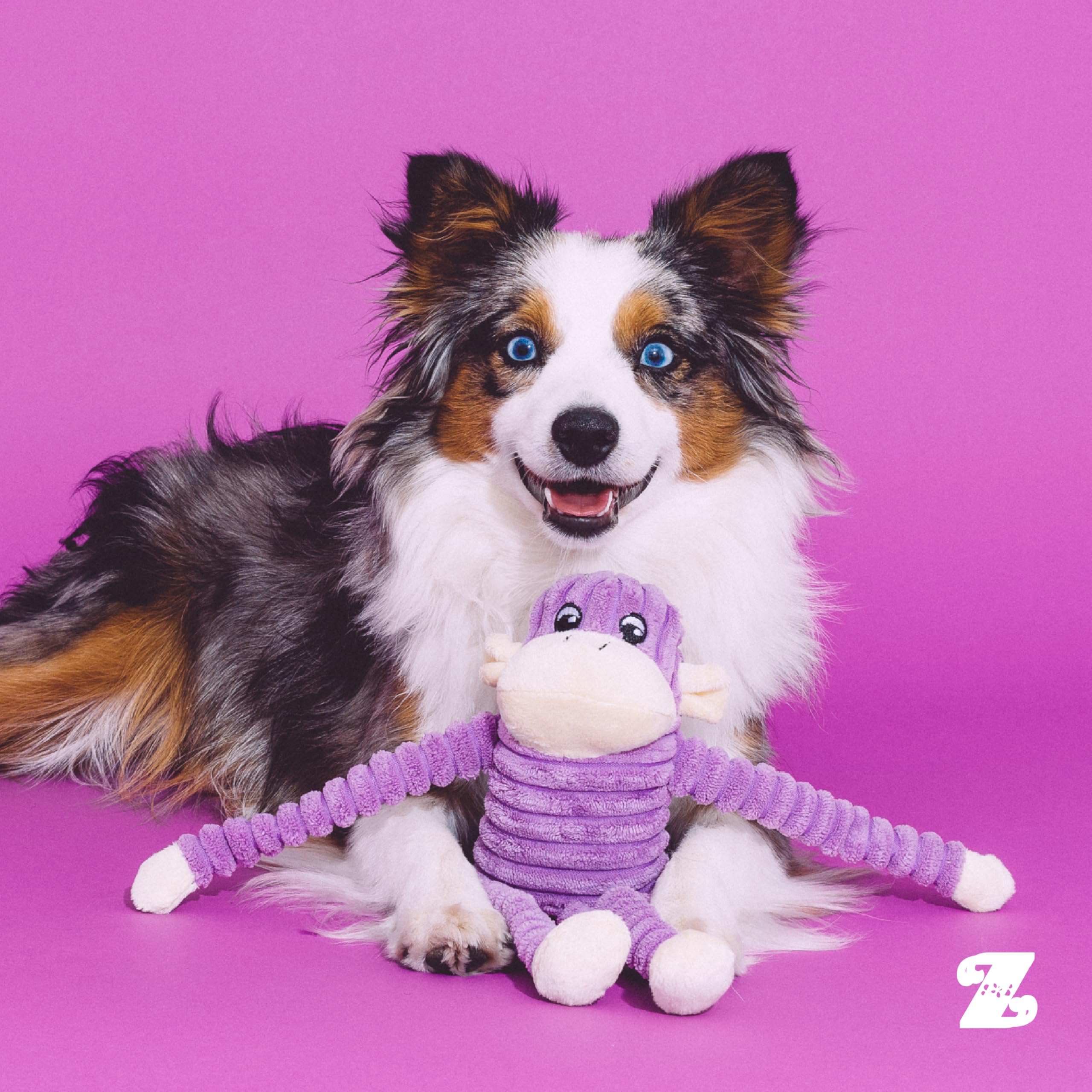 ZippyPaws Crinkle Monkey adapté à tous âges, idéal pour chiots et chiens adultes
