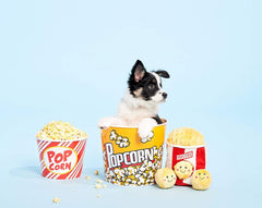 Miniz popcorn qui grince, apportant des sons attractifs durant le jeu.