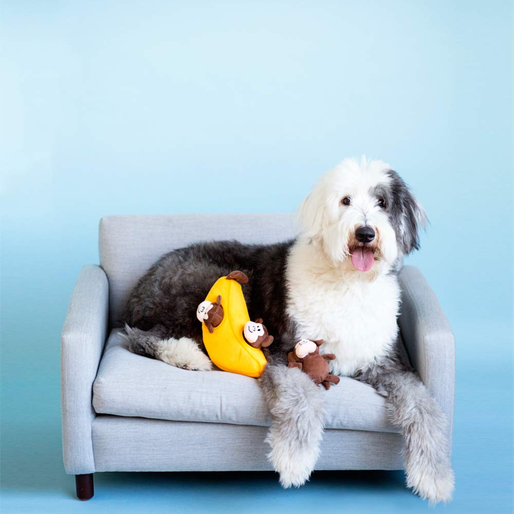 Miniz Singe squeaky : son plaisant qui enrichit les jeux canins