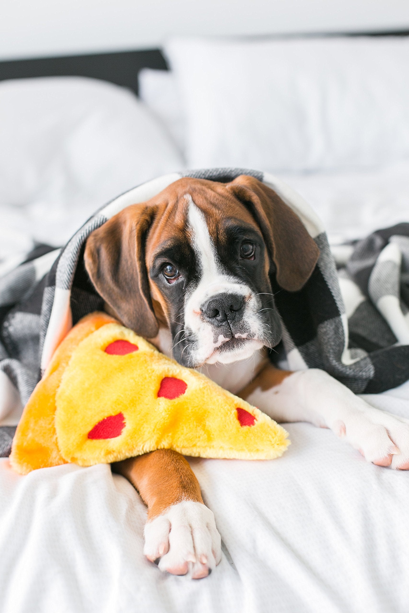 ZippyPaws NomNomz pizza, tissu doux, compagnon câlin pour les moments de repos.