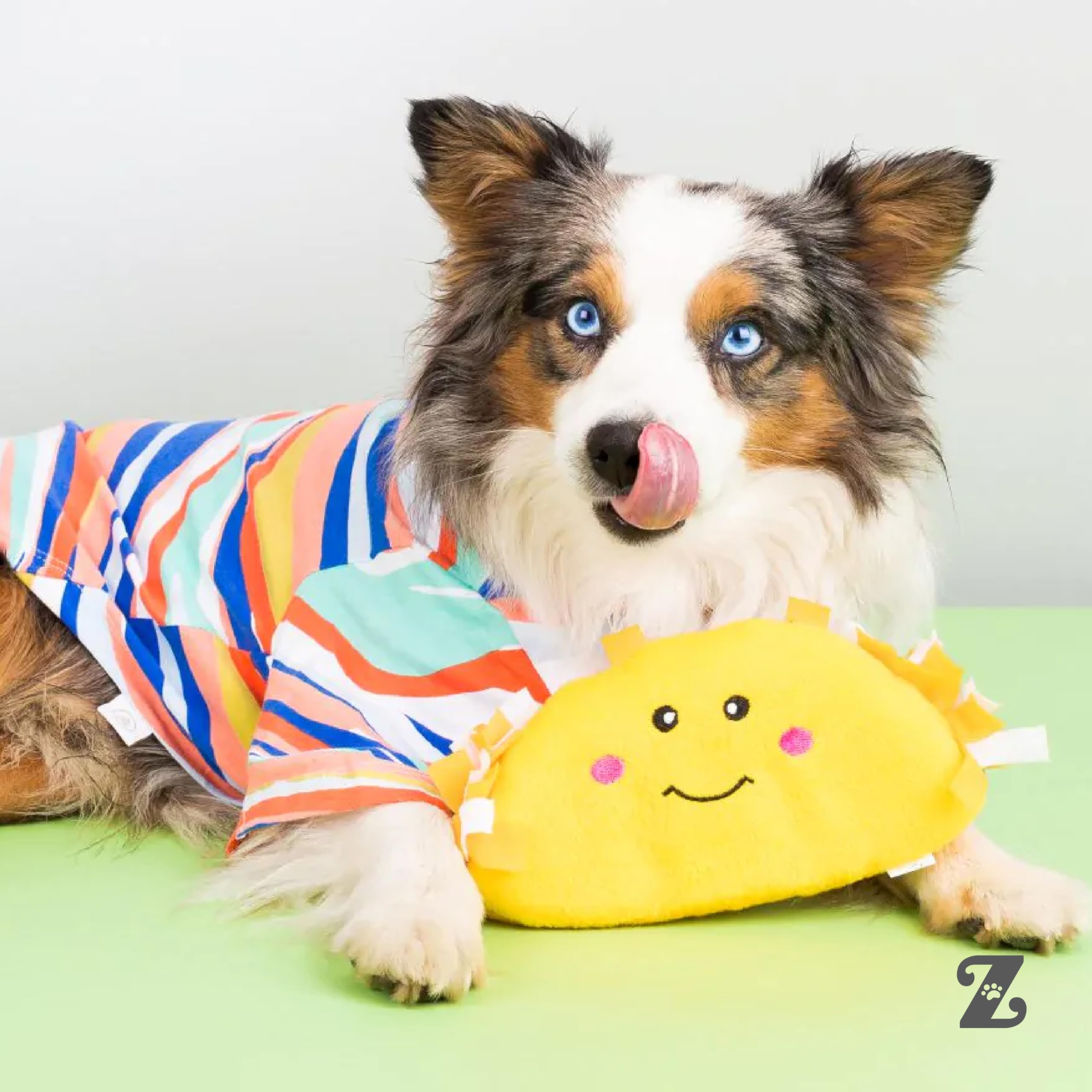 NomNomz Taco usage pour petits chiens, confort et plaisir.